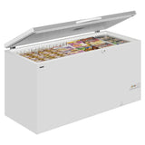 CHEST FREEZER COMMERCIAL CATERING